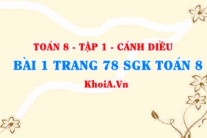 Bài 1 trang 78 SGK Toán 8 tập 1 Cánh Diều